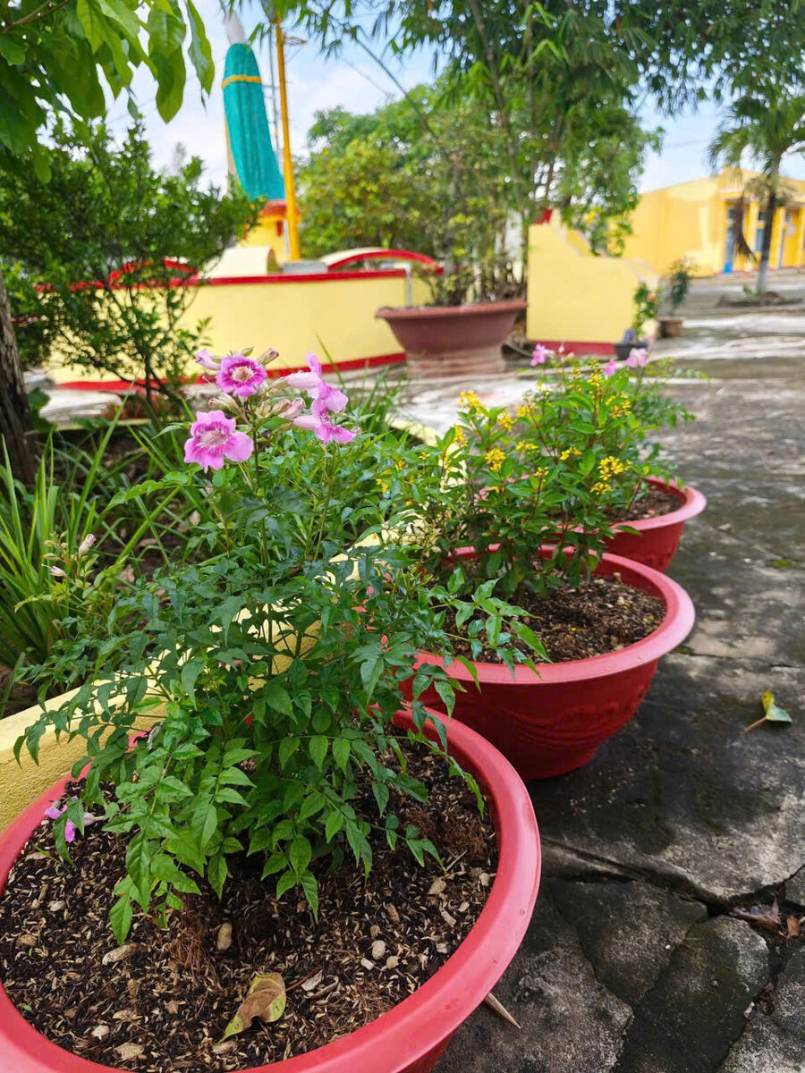 Chậu hoa trang trí sân miếu